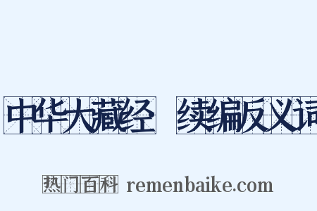 中华大藏经·续编反义词是什么意思的图片